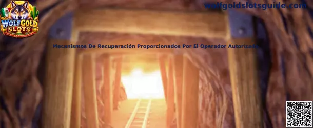 Mecanismos De Recuperación Proporcionados Por El Operador Autorizado