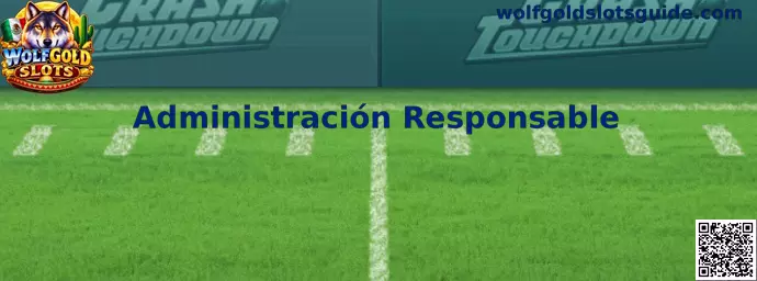 Guía visual sobre Administración Responsable en Wolfgold Slots