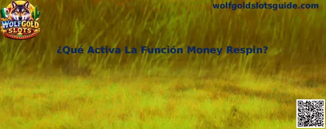 Explicación visual de la función Money Respin en Wolfgold Slots